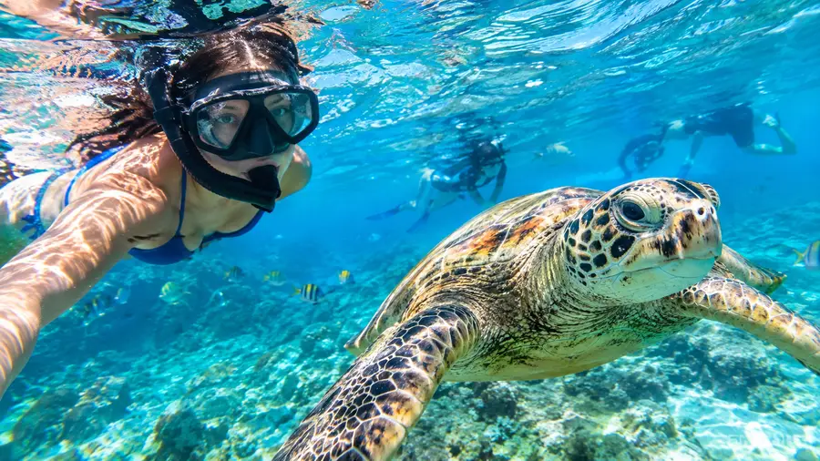Best Snorkeling Tours in San Pedro Top Rated Excursions