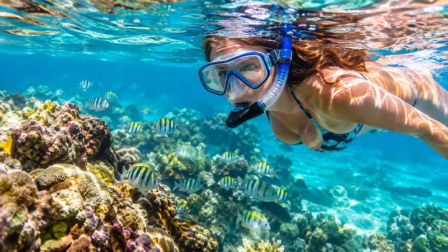 Best Time of Year for Snorkeling in Ambergris Caye
