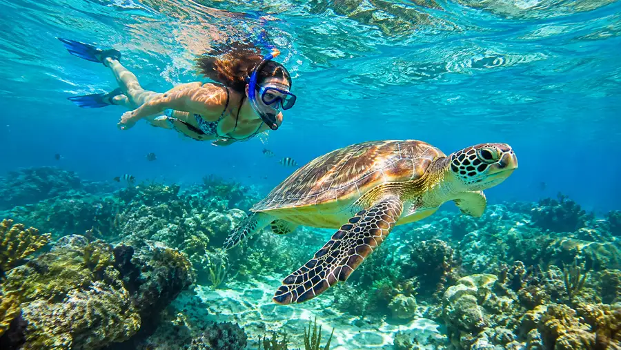 Best Time of Year for Snorkeling in Ambergris Caye