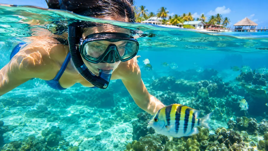 Can You Snorkel from Shore in San Pedro Best Beach Spots