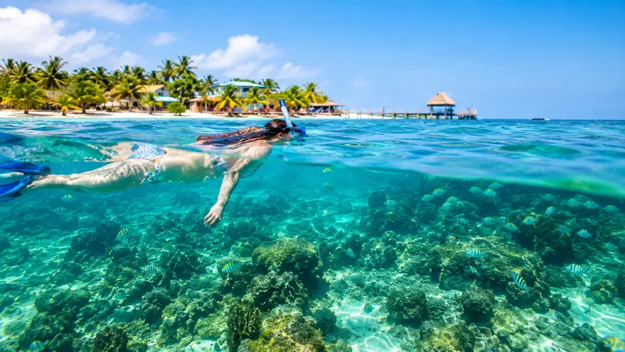 Can You Snorkel from Shore in San Pedro Best Beach Spots