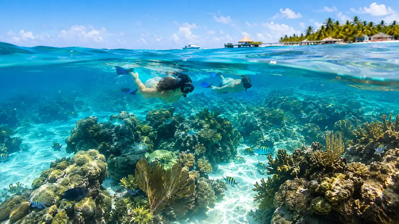 Coral Gardens the Best Reef Snorkeling in San Pedro