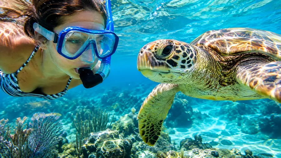 Eco Friendly Snorkeling Best Sustainable Tours