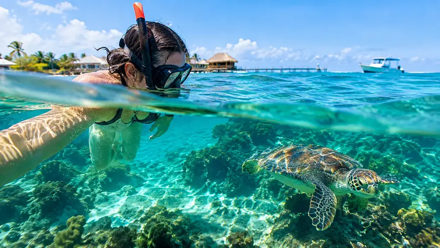 Eco Friendly Snorkeling Best Sustainable Tours