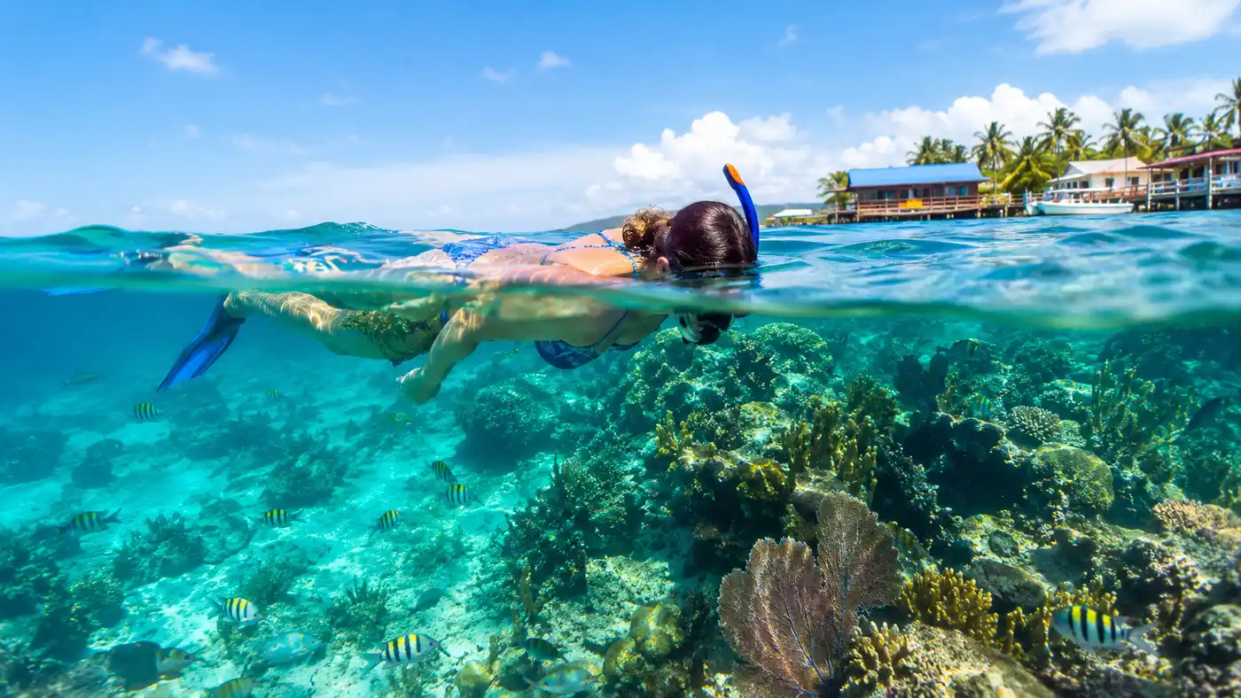 Eco Friendly Snorkeling Best Sustainable Tours