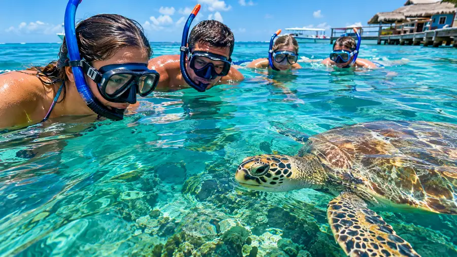 Group Discounts for Snorkeling Tours in San Pedro