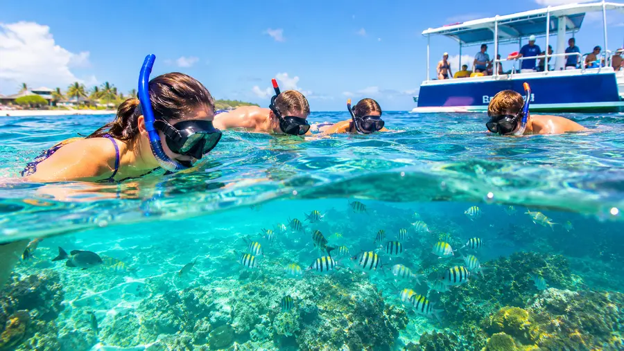 Group Discounts for Snorkeling Tours in San Pedro