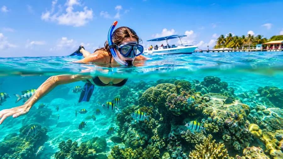 Half Day vs Full Day Snorkeling in San Pedro