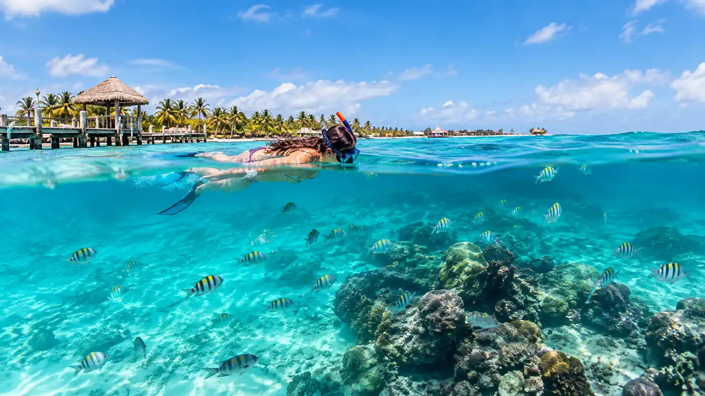Half Day vs Full Day Snorkeling in San Pedro