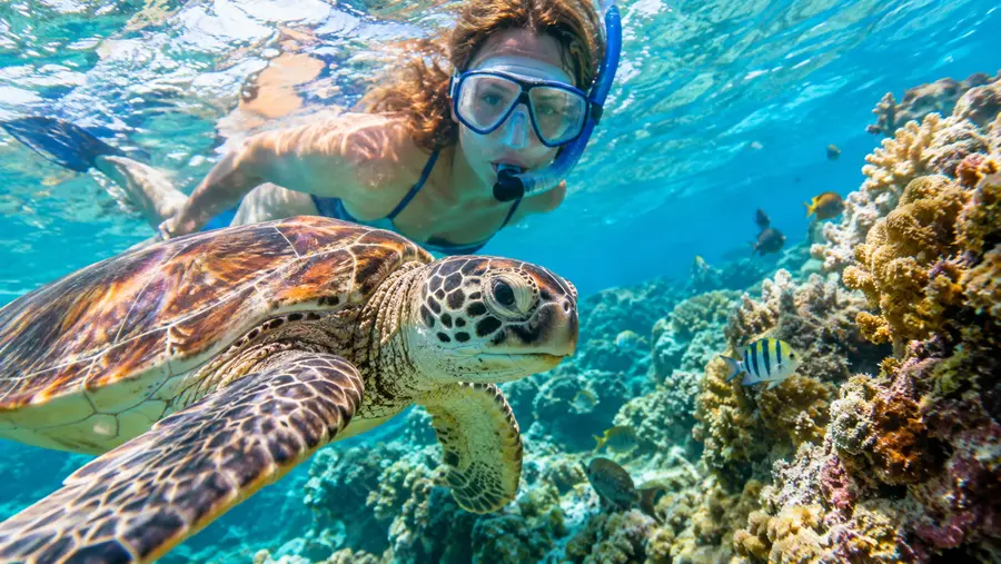 Hidden Gems Lesser Known Snorkel Sites Near San Pedro