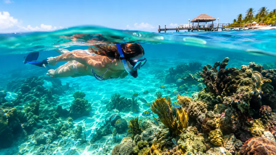 Hidden Gems Lesser Known Snorkel Sites Near San Pedro