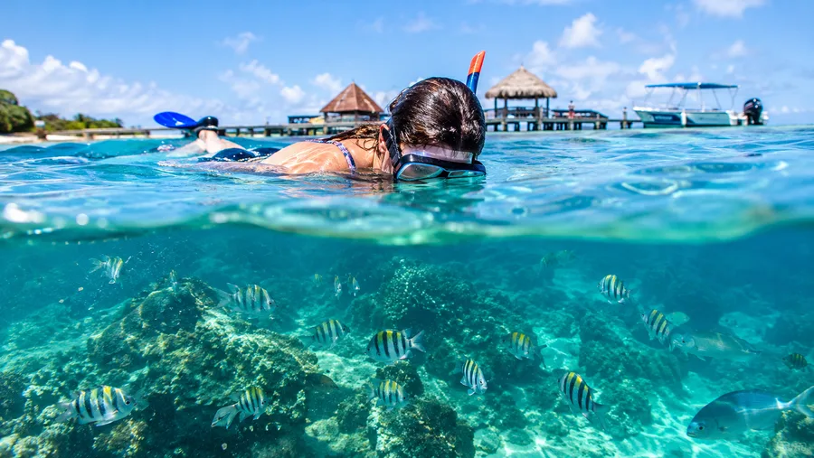 Comment se rendre à San Pedro pour votre excursion de plongée