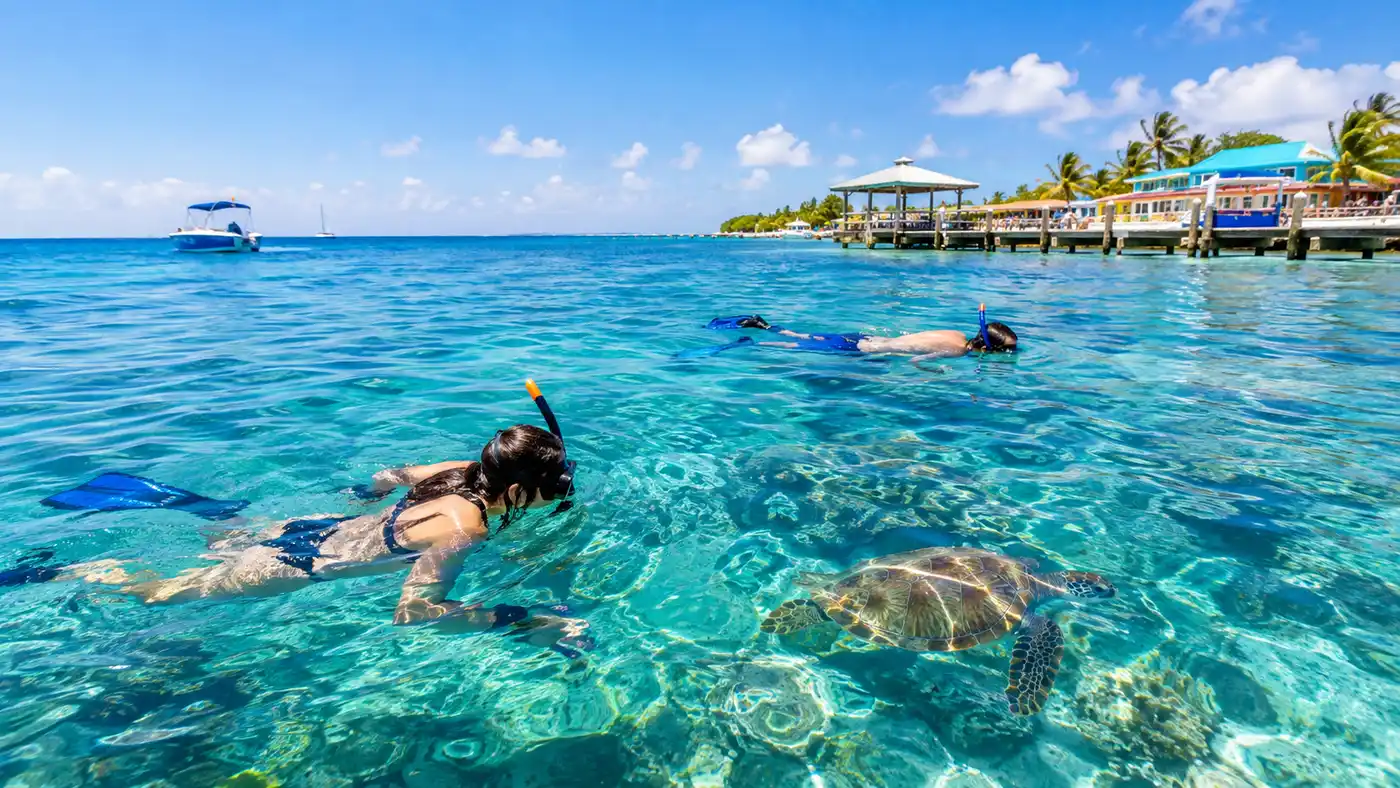 Comment se rendre à San Pedro pour votre excursion de plongée