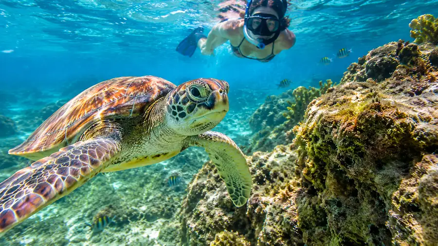El lugar más tranquilo para hacer snorkel en San Pedro, México