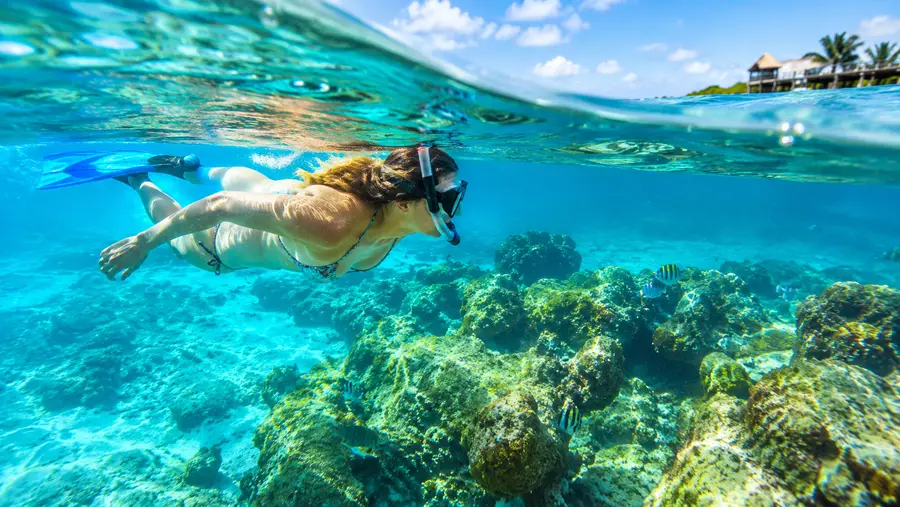 El lugar más tranquilo para hacer snorkel en San Pedro, México