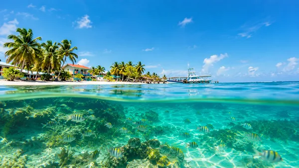 Caye Caulker Split