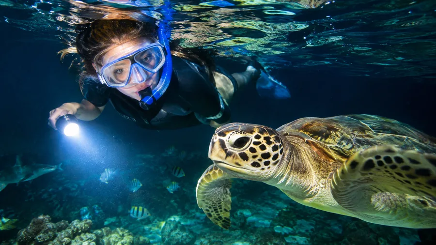 Night Snorkeling in San Pedro What to Expect
