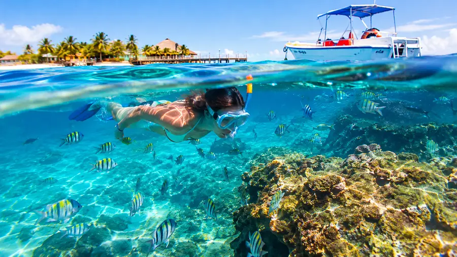 Night Snorkeling in San Pedro What to Expect