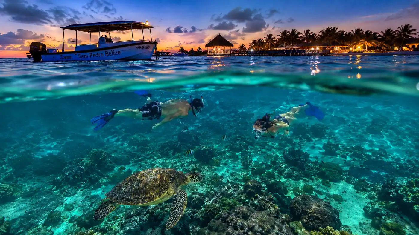 Night Snorkeling in San Pedro What to Expect