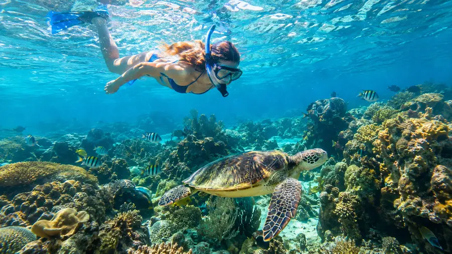 Photography Tips for Underwater Snorkeling in Belize