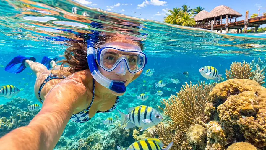 Excursions privées de snorkeling à San Pedro – Expérience VIP