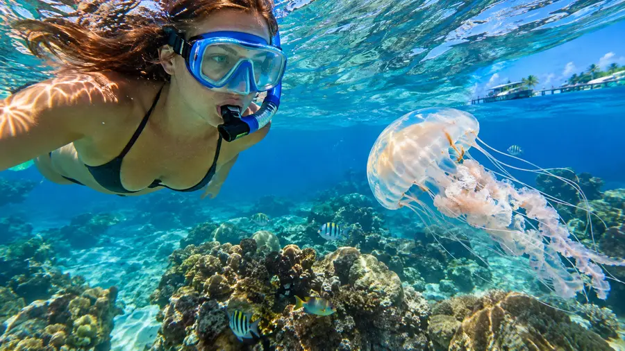 Safety Guide Avoiding Currents and Jellyfish