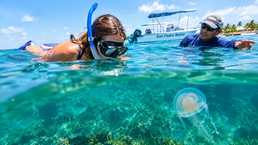 Safety Guide Avoiding Currents and Jellyfish