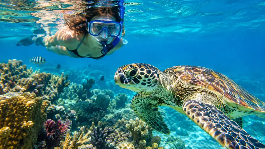 Étiquette de snorkeling : Protéger la barrière de corail du Belize
