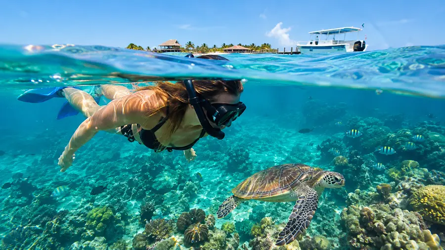 Étiquette de snorkeling : Protéger la barrière de corail du Belize
