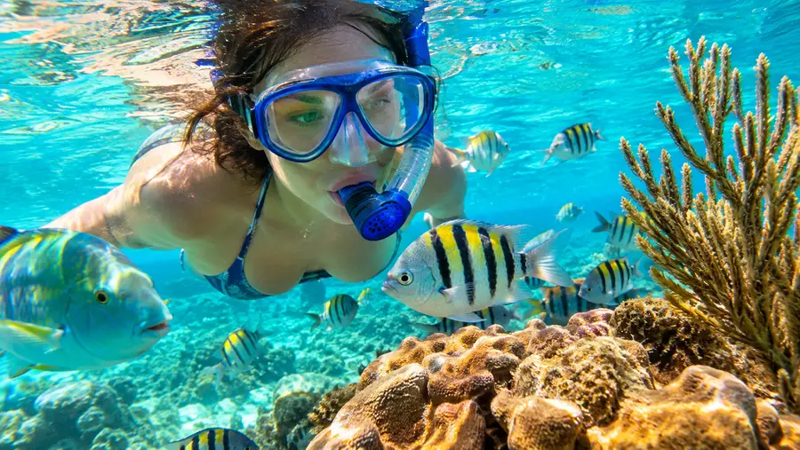 Snorkeling for Beginners First Time in San Pedro