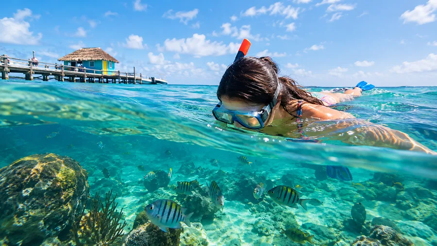 Snorkeling for Beginners First Time in San Pedro