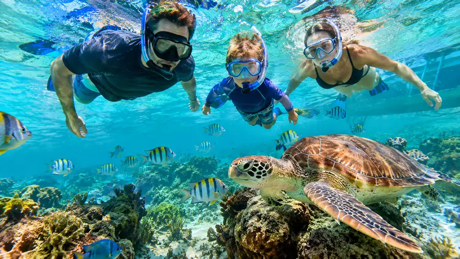 Consejos de seguridad para hacer snorkel en San Pedro con niños