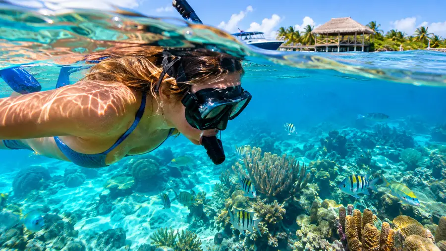 Snorkeling vs Diving in San Pedro Which Is Right for You