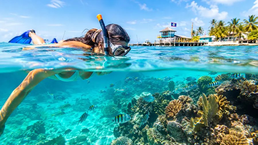 Snorkeling vs Diving in San Pedro Which Is Right for You