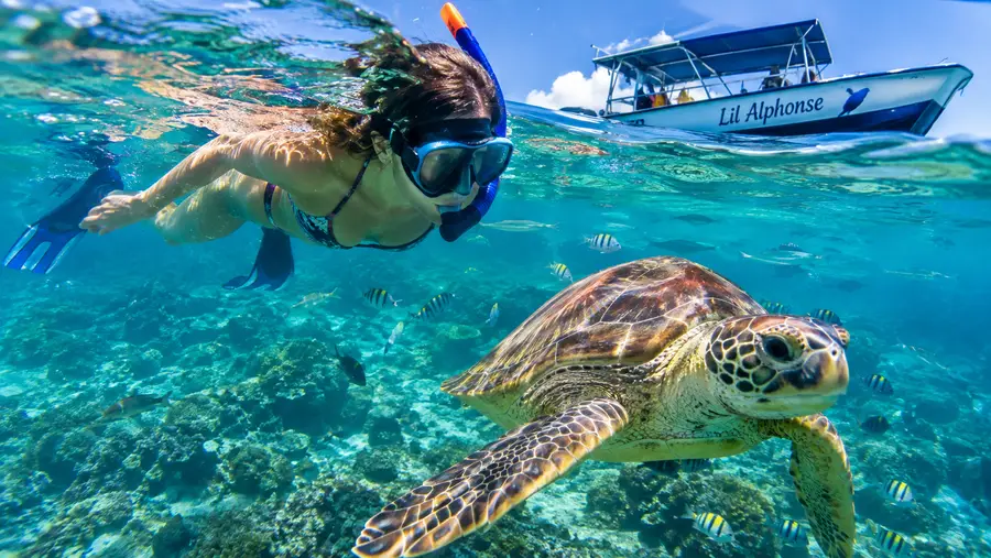 Snorkeling with Lil Alphonse Review of a Local Legend