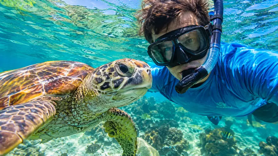 Snorkeling with Lorenzo Personalized San Pedro Tours