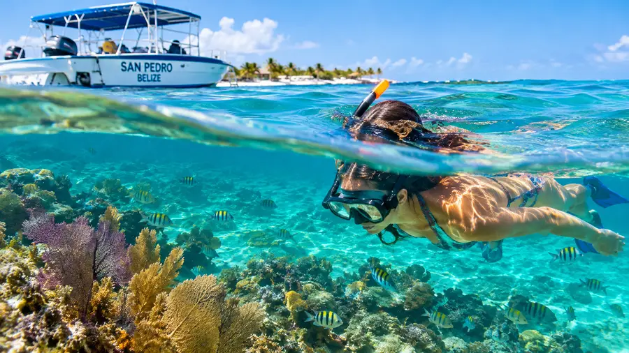 Sun Protection for Snorkelers Reef Safe Sunscreen Guide