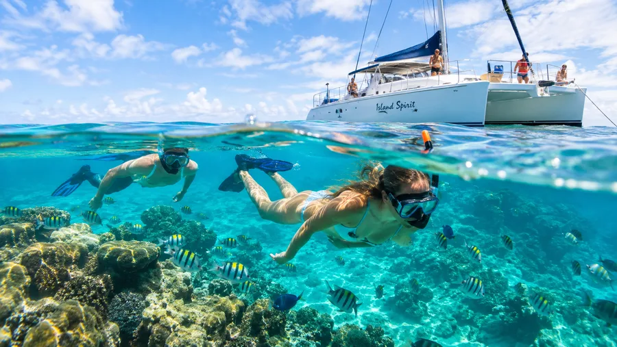 Top 5 Catamaran Snorkel Cruises in San Pedro