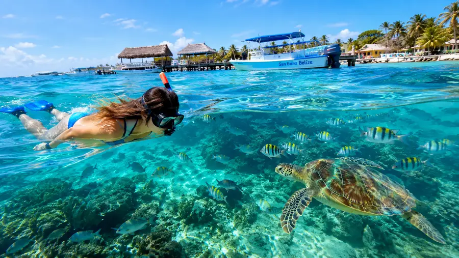 Guía Definitiva para Hacer Snorkel en San Pedro Belice